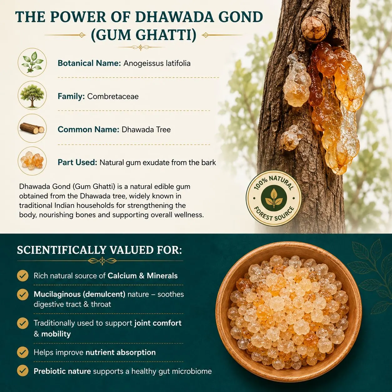 the_power_of_dhawada_gond_Indian_Gum_Elixir_Herbal_Tea_75g